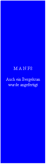 Textfeld: M A N F8
Auch ein Bergekran wurde angefertigt
&nbsp;
