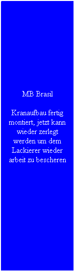 Textfeld: MB Brasil
Kranaufbau fertig montiert, jetzt kann wieder zerlegt werden um dem Lackierer wieder arbeit zu bescheren
&nbsp;
