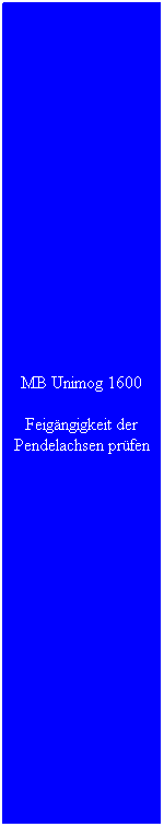 Textfeld: MB Unimog 1600
Feigngigkeit der Pendelachsen prfen
